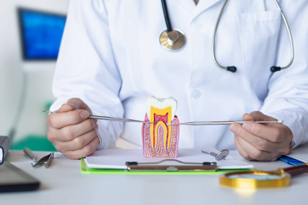 Best Dentist for Severe Toothache  in Three Rivers, MI